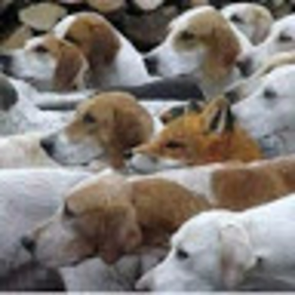 Meet your Posher, Mel